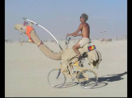 સ્મૂધ ઊંટની સવારી 