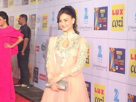 ઝી સિને ઍવૉર્ડ્સ ફંક્શન