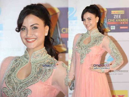 ઝી સિને ઍવૉર્ડ્સ ફંક્શન