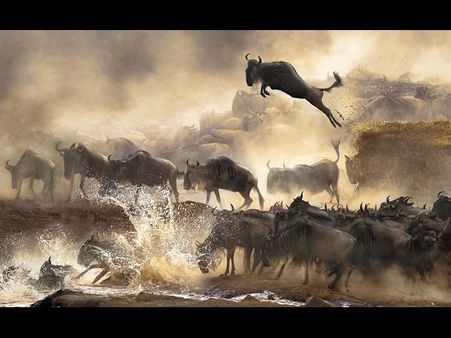 સોનીએ આને આપ્યો દુનિયાની સૌથી સુંદર તસવીરોનો એવોર્ડ