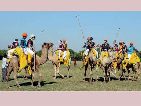 તસવીરોઃ જ્યારે વિદેશીમાંથી દેશી બની ગયા પ્રવાસી