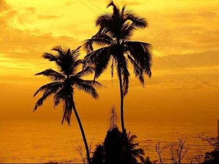 બેંડસ્ટેંડ