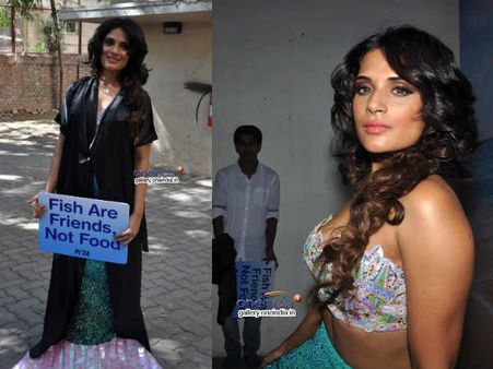 પેટા માટે રીચા બની મત્સ્યકન્યા પેટા માટે રીચા બની મત્સ્યકન્યા