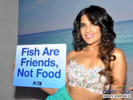 પેટા માટે રીચા બની મત્સ્યકન્યા પેટા માટે રીચા બની મત્સ્યકન્યા