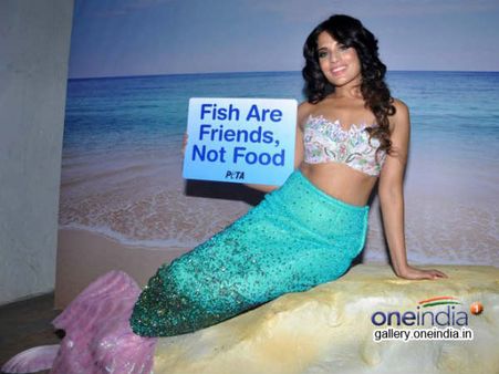 પેટા માટે રીચા બની મત્સ્યકન્યા પેટા માટે રીચા બની મત્સ્યકન્યા