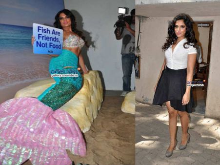 પેટા માટે રીચા બની મત્સ્યકન્યા પેટા માટે રીચા બની મત્સ્યકન્યા