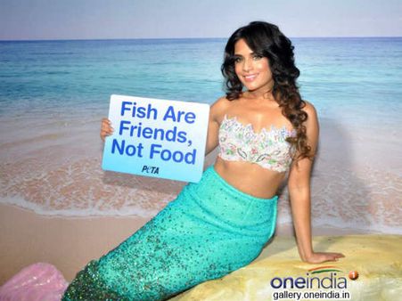 પેટા માટે રીચા બની મત્સ્યકન્યા : મૈં ખાને કી ચીજ નહીં...