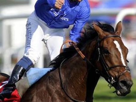 કોઇ ઘોડીની પ્રસવક્રિયા 