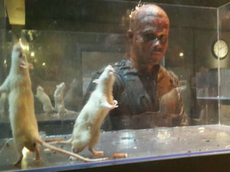 મહેશ ભટ્ટની મિસ્ટર એક્સના શ્રીગણેશ, ઇમરાને ધર્યો વિચિત્ર લુક!