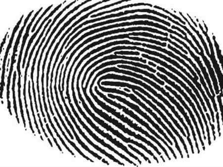 શું જુડવા બાળકોના ફિંગરપ્રિંટ એક જેવા હોય છે? શું જુડવા બાળકોના ફિંગરપ્રિંટ એક જેવા હોય છે?