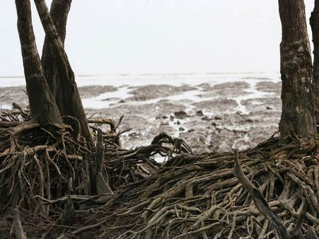 સુંદરતાથી ઘેરાયેલું