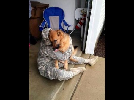 ફેસબૂક ફની ફોટો