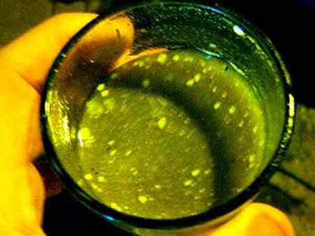 શિવ અને ભાંગ