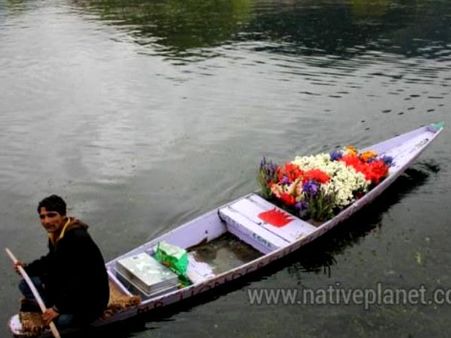 ડલ ઝીલ, શ્રીનગર- સુદેશ નાયક 