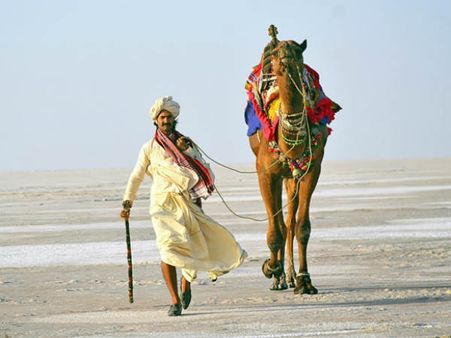 ગ્રામ્ય સંસ્કૃતિની પણ વાર્તા