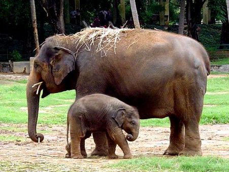 ભારતભરમાંથી અમારા વાચકોએ મોકલ્યા છે આ ફોટા