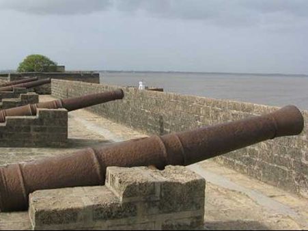 ફિક્સ તોપો