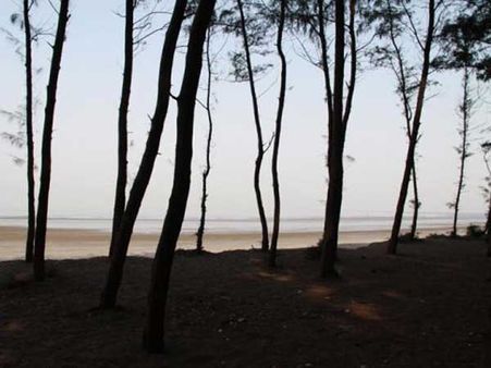 સાંજે કંઇક આવું લાગે છે નારગોળ