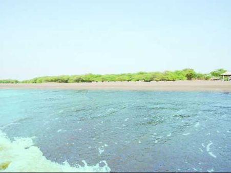 ઘોઘા સમુદ્ર તટ ઘોઘા સમુદ્ર તટ