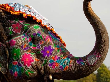 જયપુરમાં હોળી