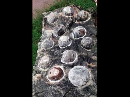ઇન્દ્રોડા પાર્ક