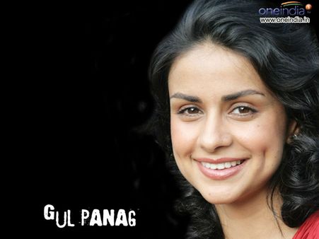 'આપ'માં વધુ એક 'પેરાશુટ લીડર', ગુલ પનાગને મળી શકે છે ટિકિટ!