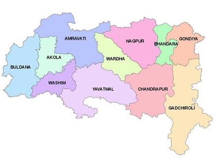 10 બેઠકોમાં 95 અપક્ષ ઉમેદવાર