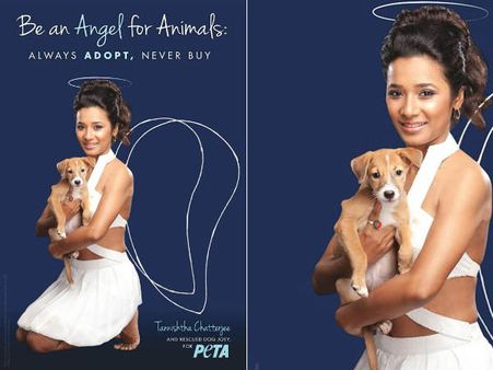 પેટા માટે પરી