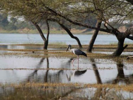 થોર તળાવ 