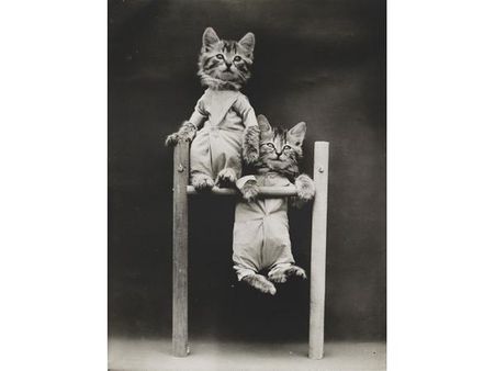 Victorian photographer Harry Whittier photo