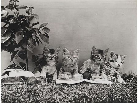 Victorian photographer Harry Whittier photo