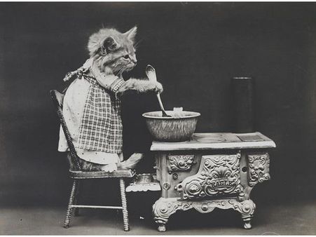 Victorian photographer Harry Whittier photo