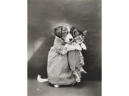 Victorian photographer Harry Whittier photo