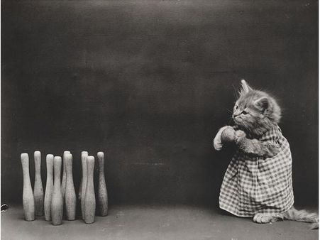 Victorian photographer Harry Whittier photo