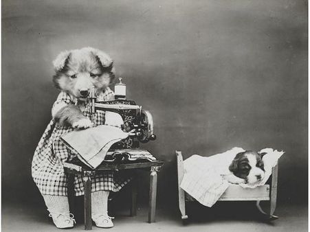 Victorian photographer Harry Whittier photo