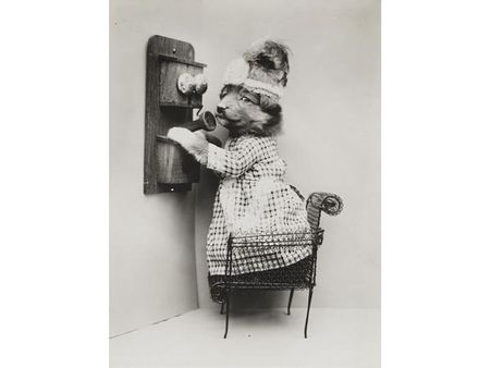 Victorian photographer Harry Whittier photo