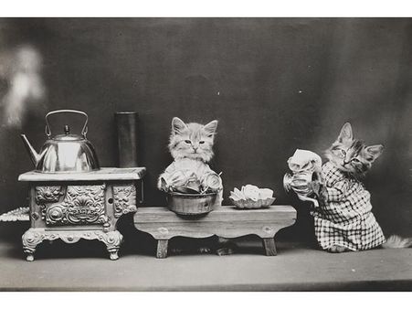 Victorian photographer Harry Whittier photo