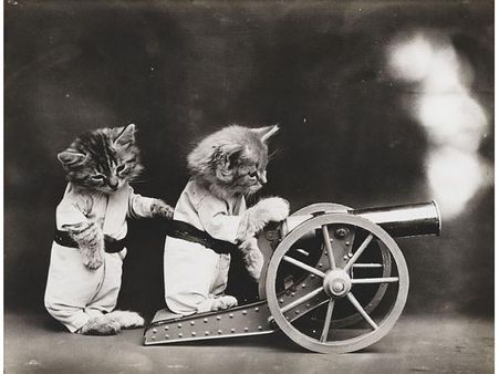 Victorian photographer Harry Whittier photo