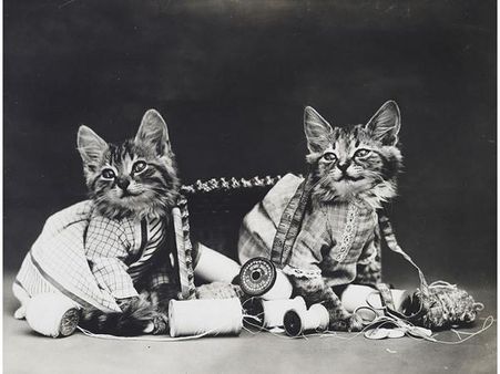 Victorian photographer Harry Whittier photo