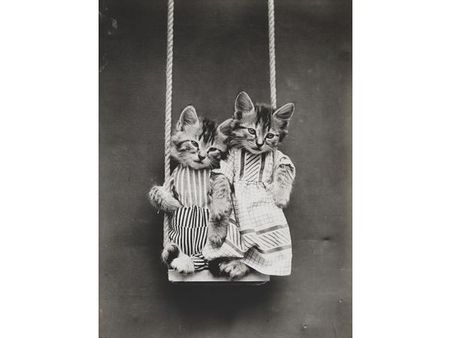 Victorian photographer Harry Whittier photo