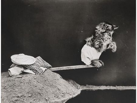 Victorian photographer Harry Whittier photo