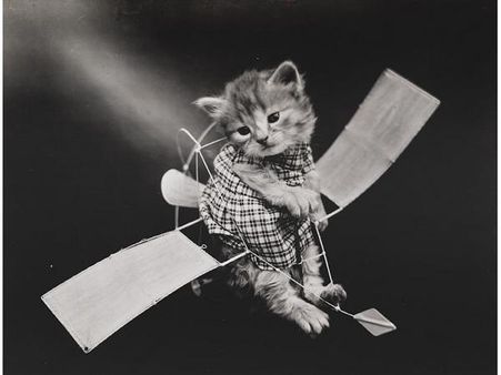 Victorian photographer Harry Whittier photo