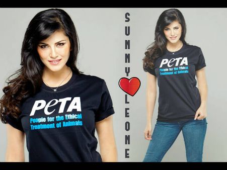 હતાશ નહીં, ઉત્સાહિત સન્ની