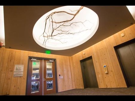 નેચરલ થીમ 