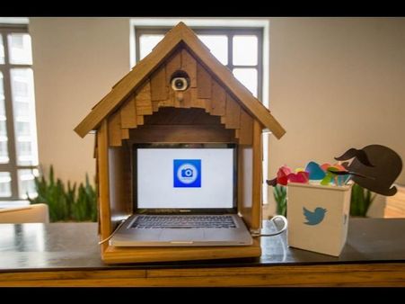 ગેસ્ટ લોગઇન 