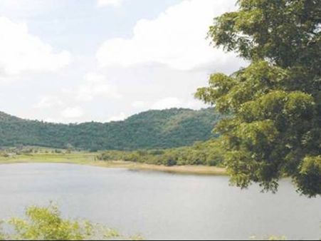 જાંબુઘોડા વન્યજીવ અભ્યારણ્ય