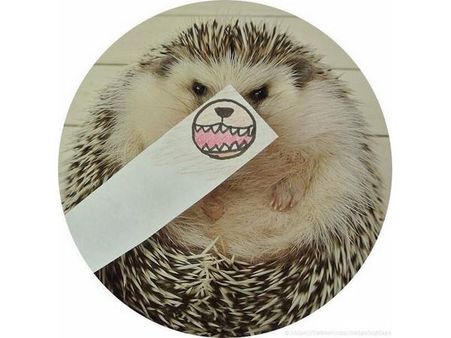 ઇંસ્ટ્રાગ્રામ પર પોપ્યુલર જાનવરોની તસવીરો