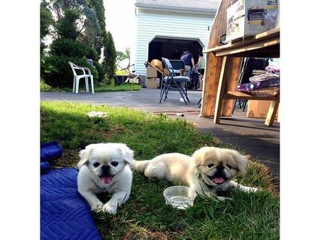 આ નાનકડું જીવ ઇંટરનેટ પર બની ગયું છે સ્ટાર!