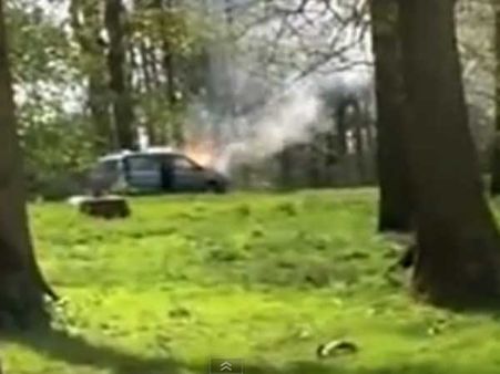 એક તરફ આગ બીજી તરફ સાવજ