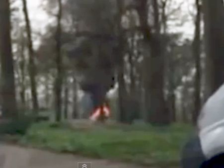 એક તરફ આગ બીજી તરફ સાવજ